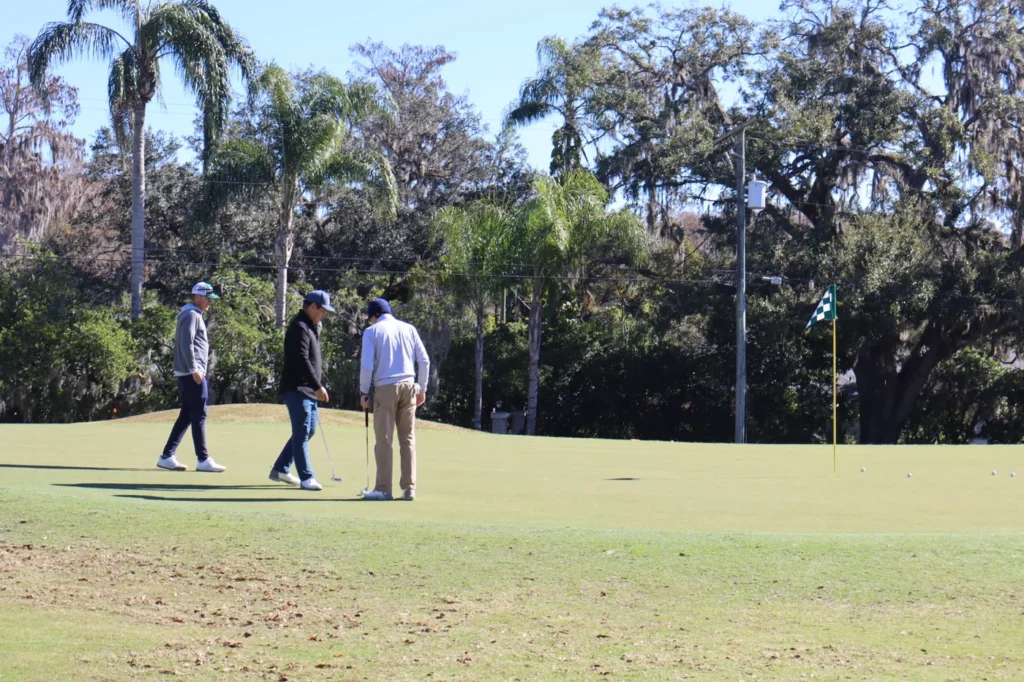Players on the fairway under the palms